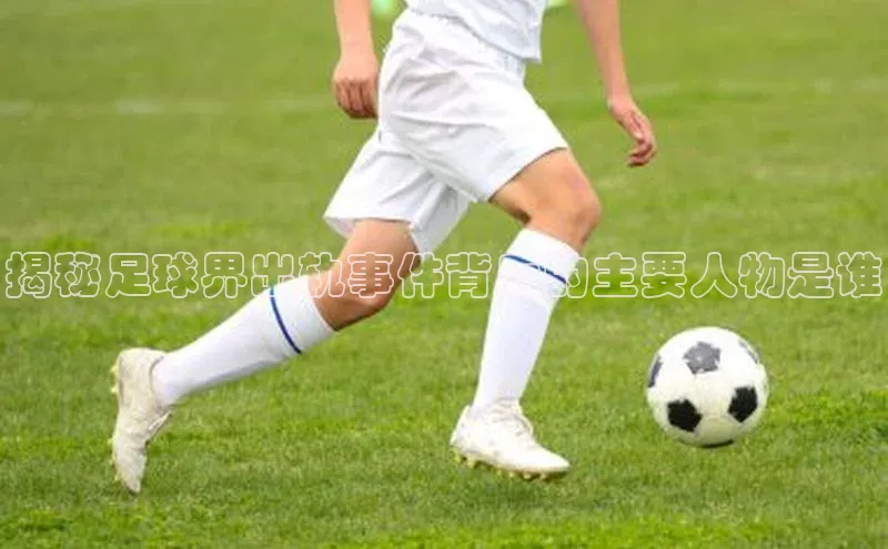 摩登v注册官网元隆雅图揭秘足球界出轨事件背后的主要人物是谁