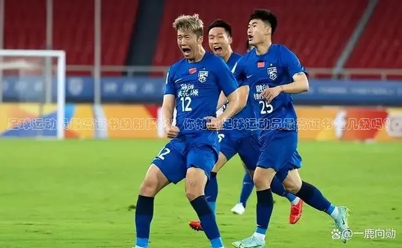 摩登7lite登录入口巴美列捷福足球运动员最高证书级别探究：你知道足球运动员最高证书是几级吗？