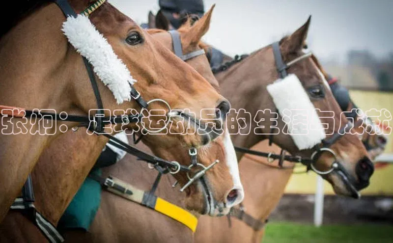 摩登7百度学术张炯：足球运动员的生涯与成就
