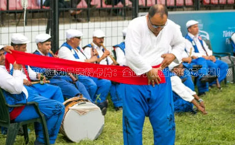 摩登7Lite直接登录度小满支付《最新足球运动员资料卡片：全面了解当下球坛明星！》