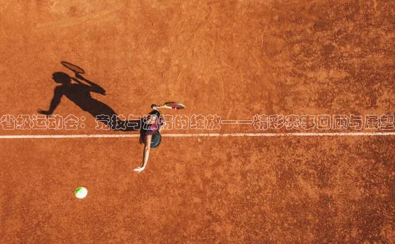 摩登7娱乐平台百度营销中心省级运动会：竞技与激情的绽放——精彩赛事回顾与展望