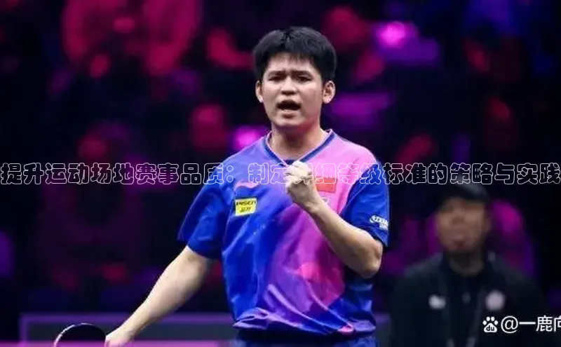 提升运动场地赛事品质：制定详细等级标准的策略与实践