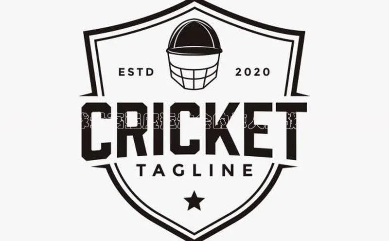 极限：全球最高强度运动会的惊人挑战与荣耀时刻