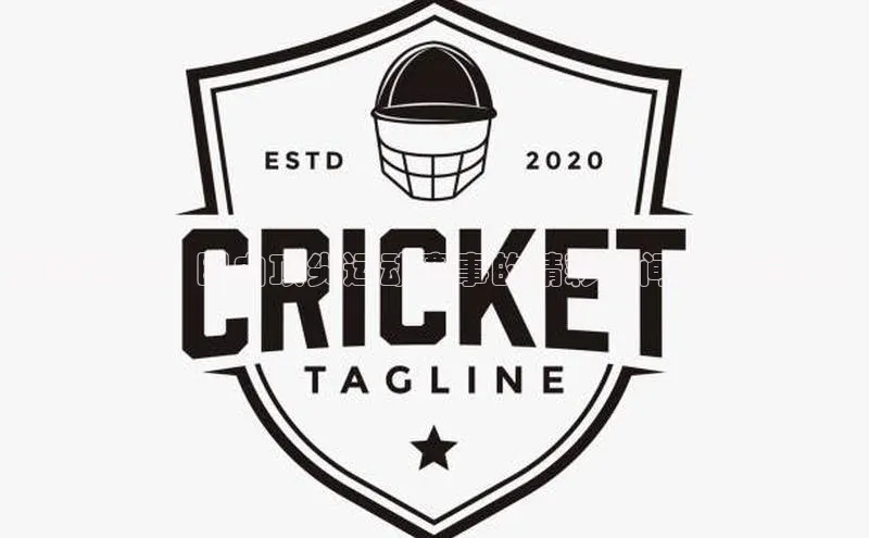 巅峰对决：国内顶尖运动赛事的精彩瞬间与背后故事