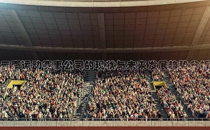 云南运动赛事公司的现状与未来发展趋势分析
