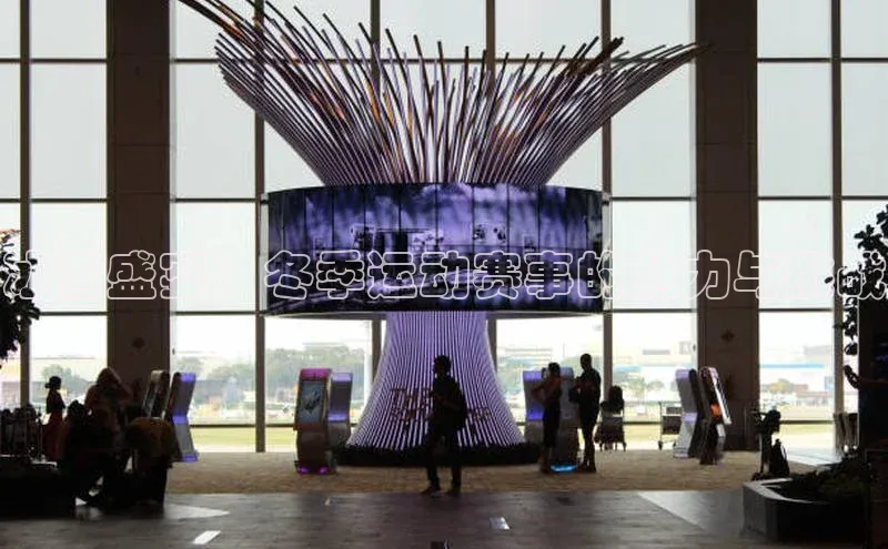 冰雪盛宴：冬季运动赛事的魅力与挑战