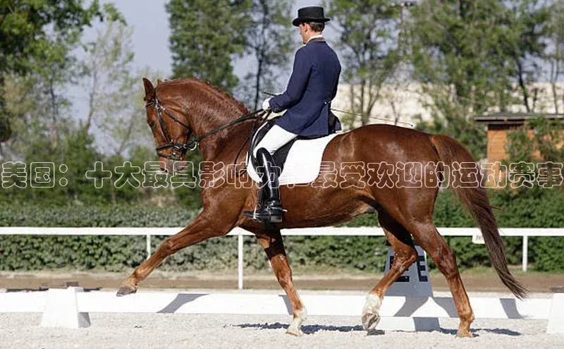 美国：十大最具影响力和最受欢迎的运动赛事