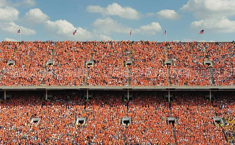 最激动人心的体育瞬间：我的最爱看的运动赛事视频推荐