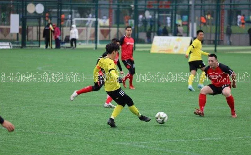 运动赛事精彩瞬间一键收藏：顶级视频资源的官方网站