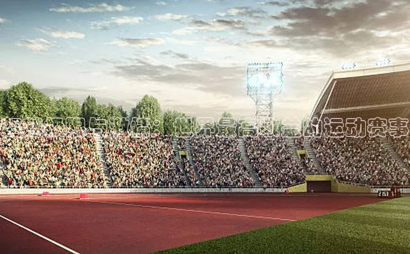 超越极限与激情：世界最高收益的运动赛事