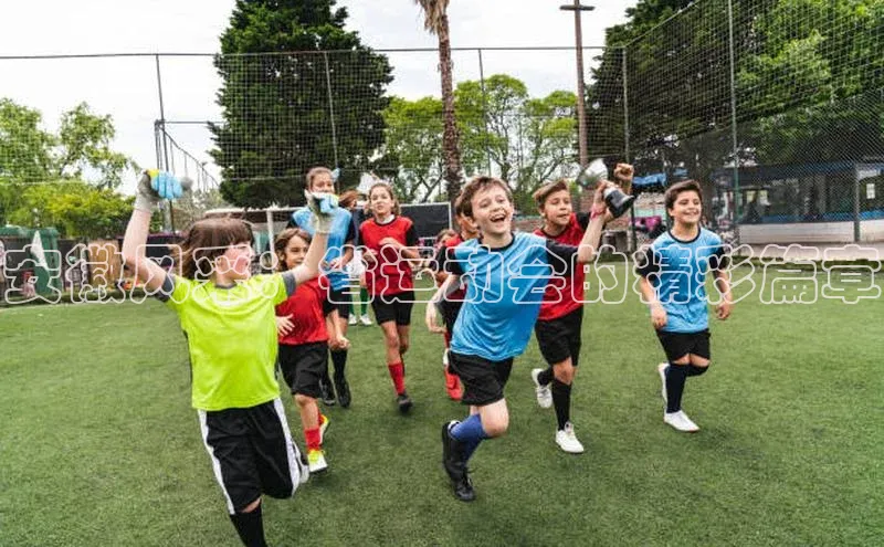 安徽风采：省运动会的精彩篇章