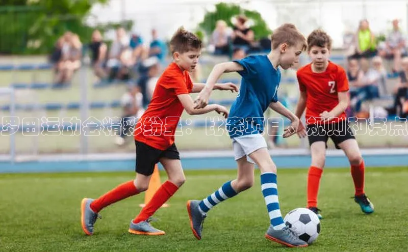 罗田运动会精彩纷呈：比赛项目、规则和亮点