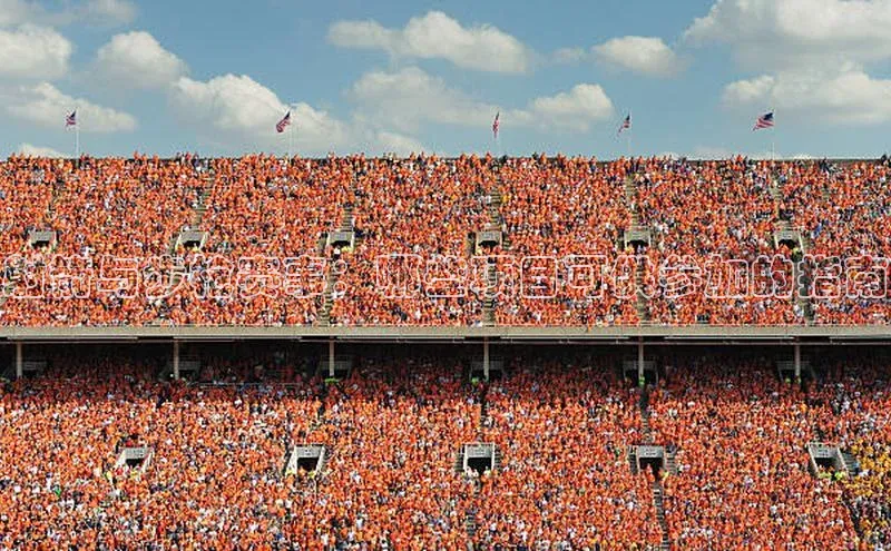 射箭与步枪赛事：哪些项目可供参加的指南