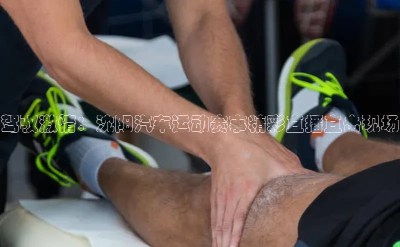 驾驭激情：沈阳汽车运动赛事精彩直播直击现场