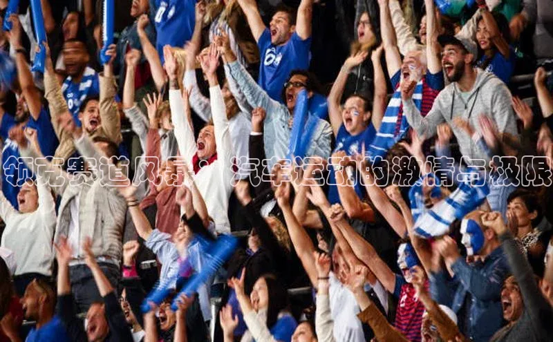 领克赛道风暴：汽车运动的激情与极限