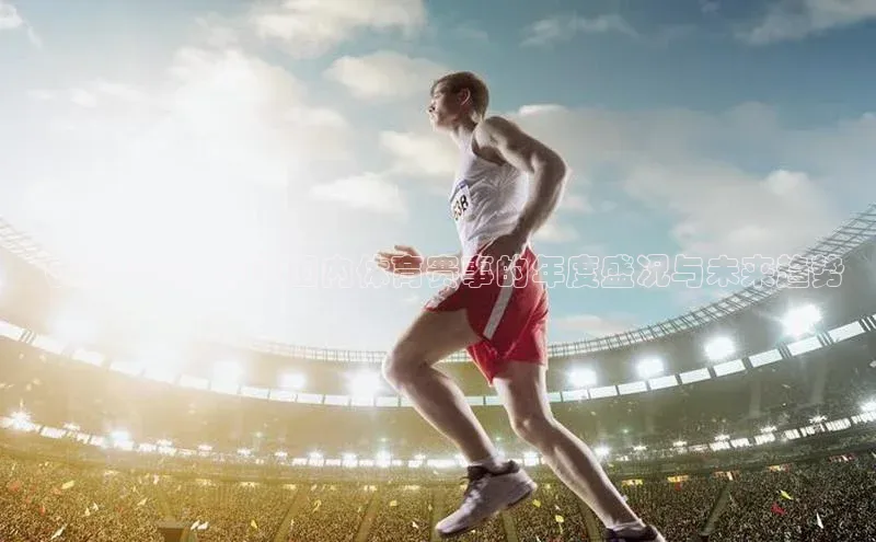 飞跃2024：中国国内体育赛事的年度盛况与未来趋势