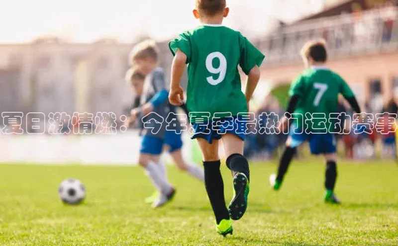 夏日激情燃：今年夏季最热门运动赛事