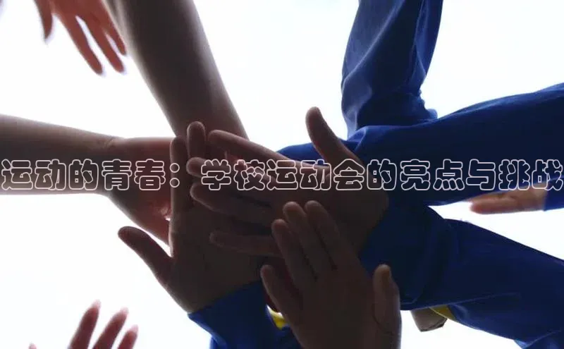 摩登7会员登录入口